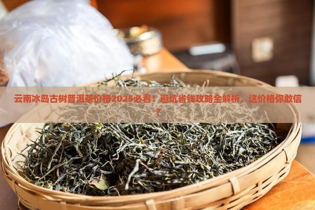 云南冰岛古树普洱茶的价格