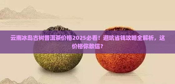 云南冰岛古树普洱茶的价格