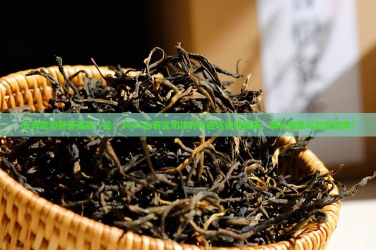 云南龙润茶普洱茶一品