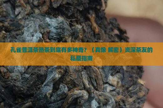 孔雀普洱茶熟茶