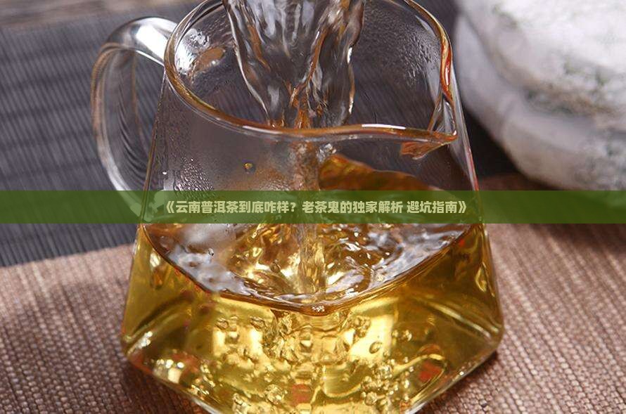 我对云南普洱茶的看法和感受