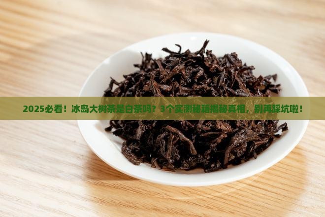 冰岛大树茶是白茶吗