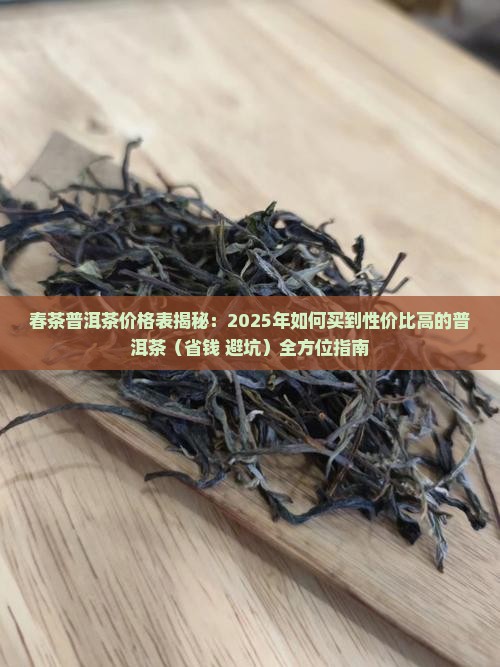 春茶普洱茶价格表