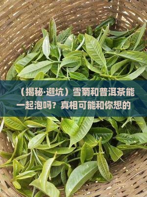 雪菊和普洱茶一起泡吗
