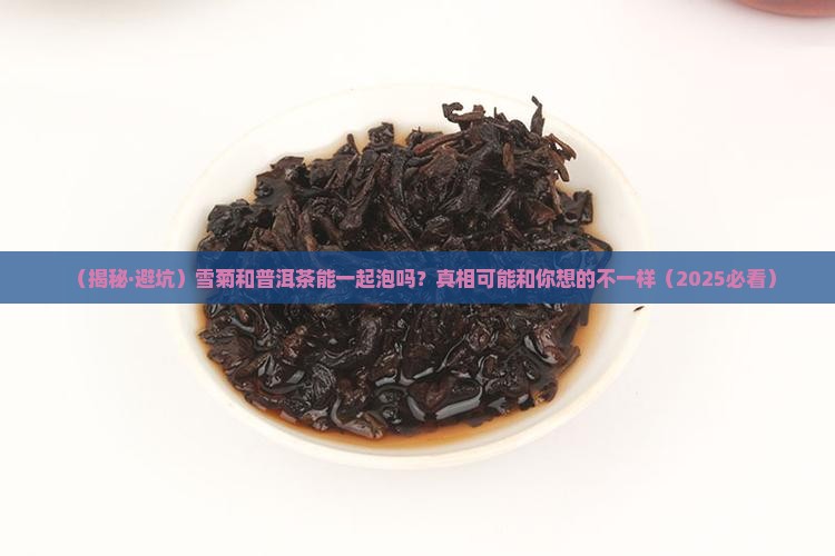 雪菊和普洱茶一起泡吗