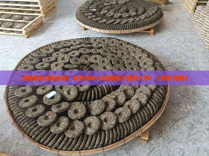普洱茶陈升号8582