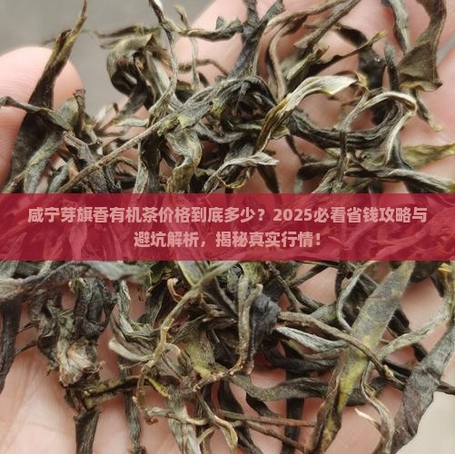 咸宁芽旗香有机茶价格