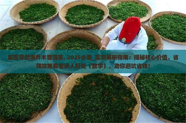 龙园号勐海乔木普洱茶
