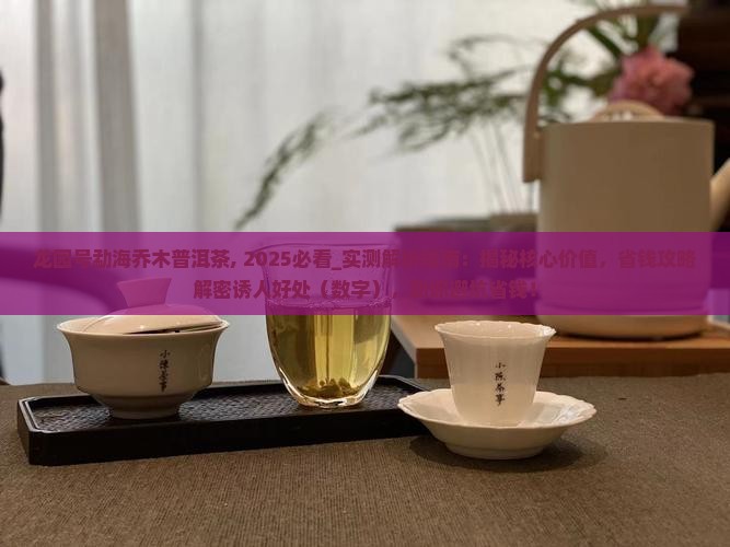 龙园号勐海乔木普洱茶
