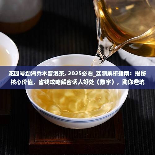龙园号勐海乔木普洱茶