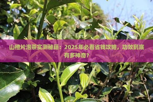 山楂片泡茶的功效