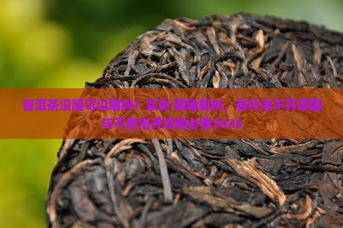 普洱茶没醒可以喝吗