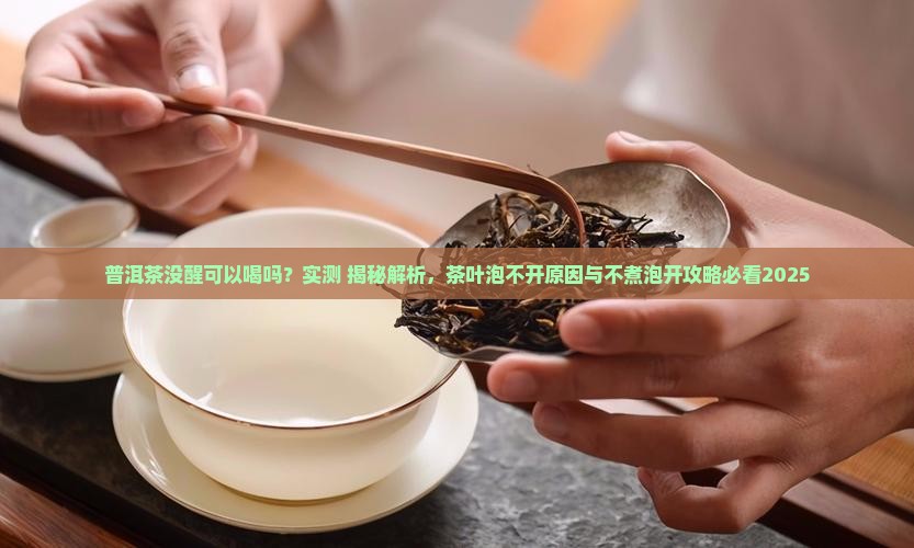 普洱茶没醒可以喝吗