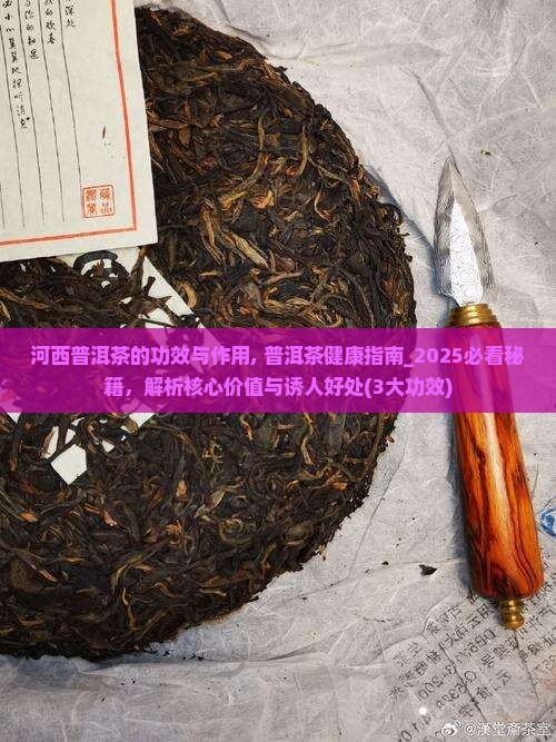 河西普洱茶的功效与作用