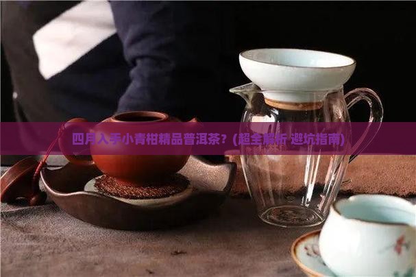 四月得小青柑精品普洱茶