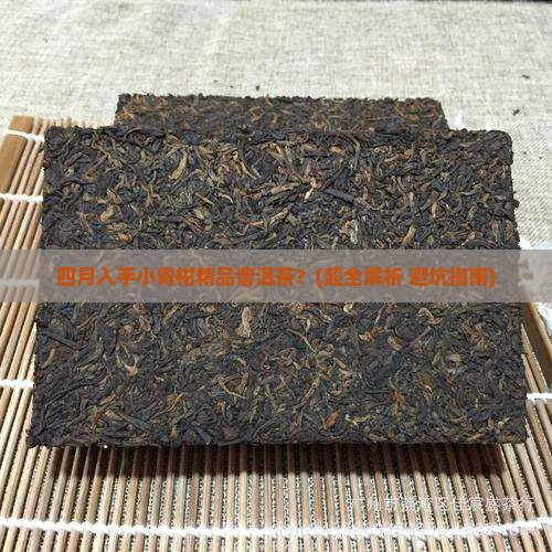 四月得小青柑精品普洱茶