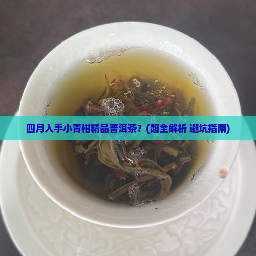 四月得小青柑精品普洱茶