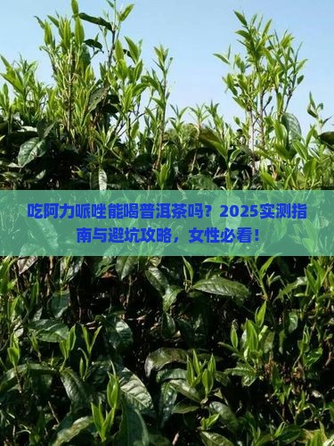 吃阿力哌唑能喝普洱茶吗