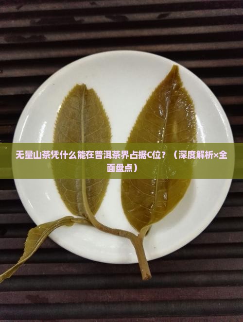 无量山茶在普洱茶排名