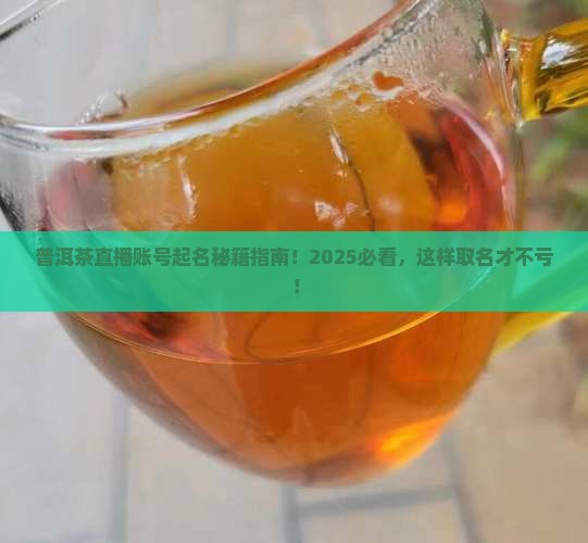普洱茶直播账号名字怎么起