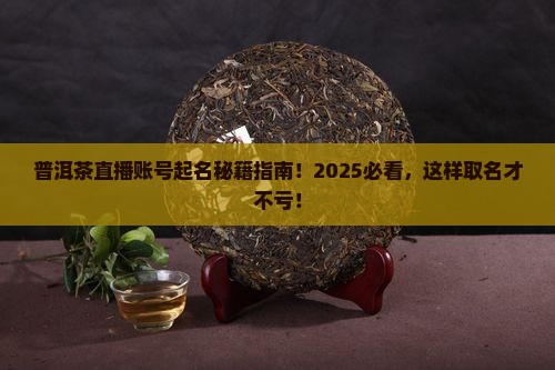 普洱茶直播账号名字怎么起