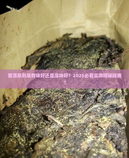 普洱茶有味好还是没味好