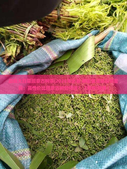 勐岛大白菜班章古树茶