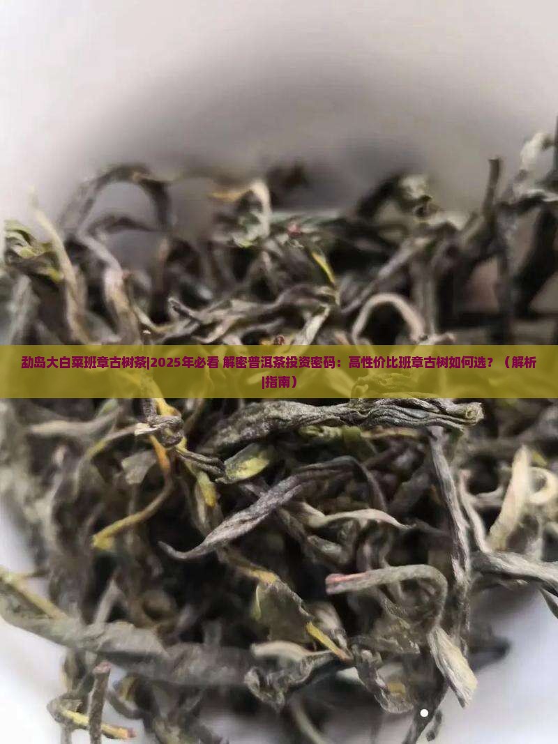 勐岛大白菜班章古树茶