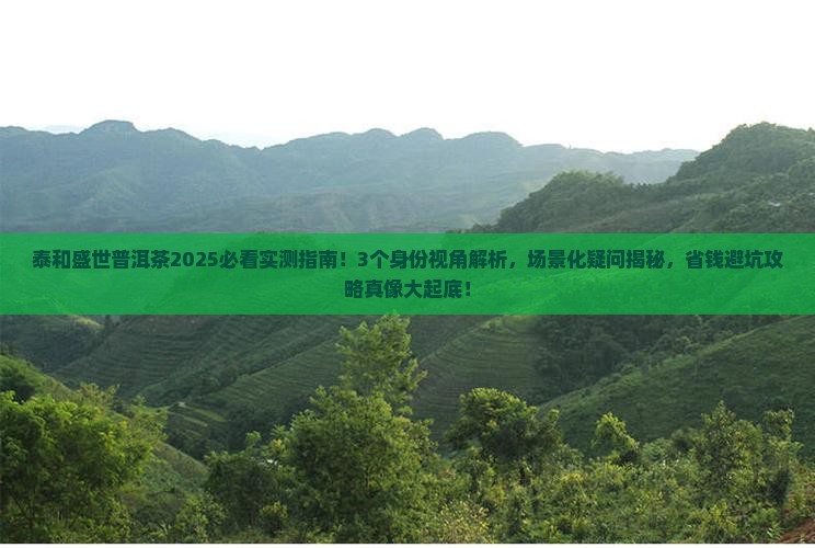 泰和盛世普洱茶