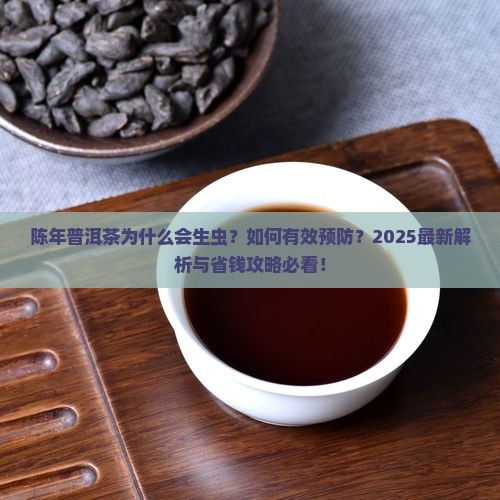 陈年普洱茶为什么会生虫