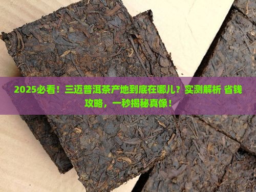 三迈普洱茶产地是哪里生产
