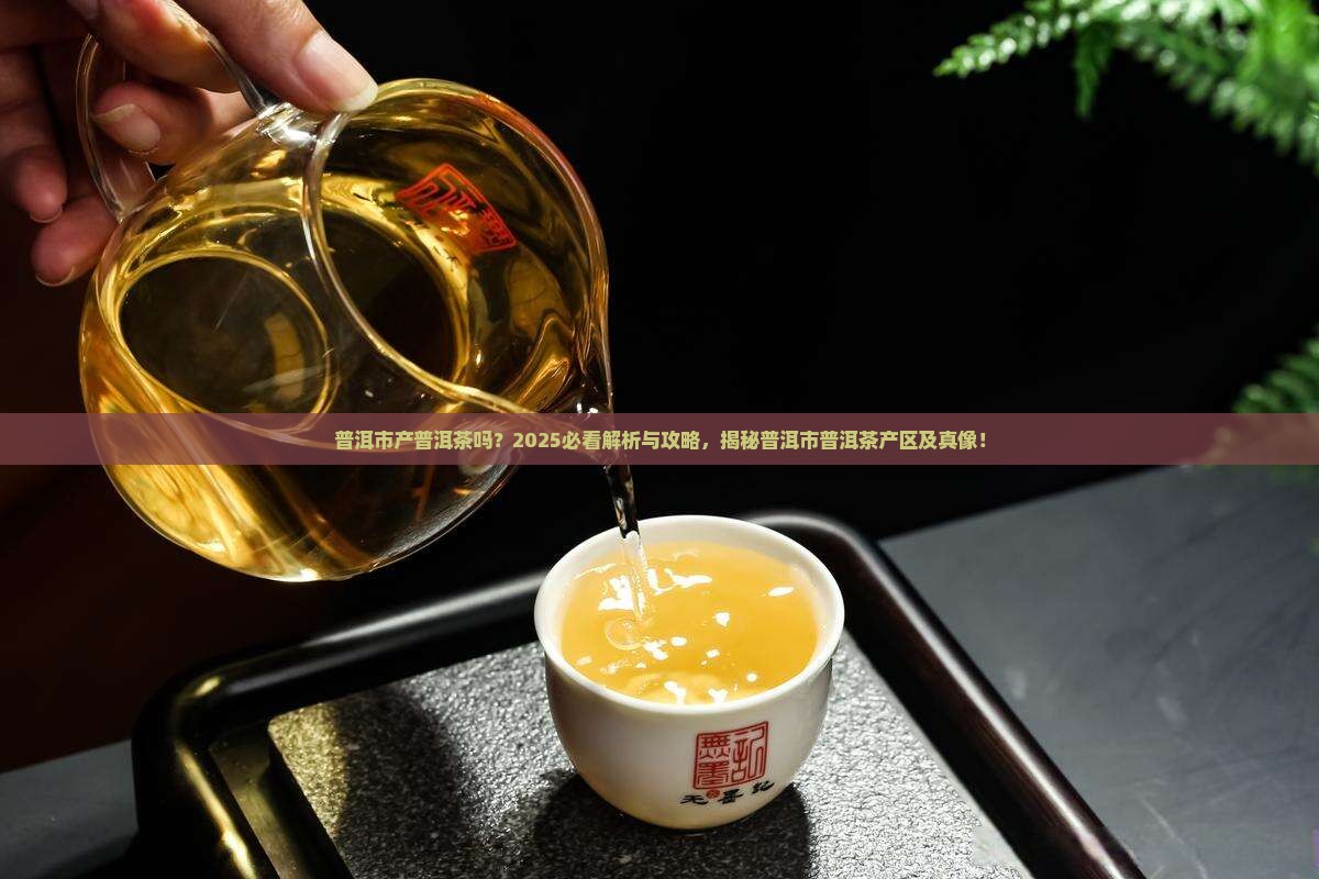 普洱市产普洱茶吗