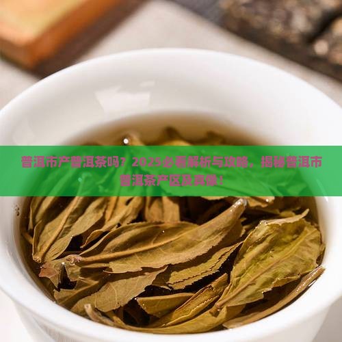 普洱市产普洱茶吗