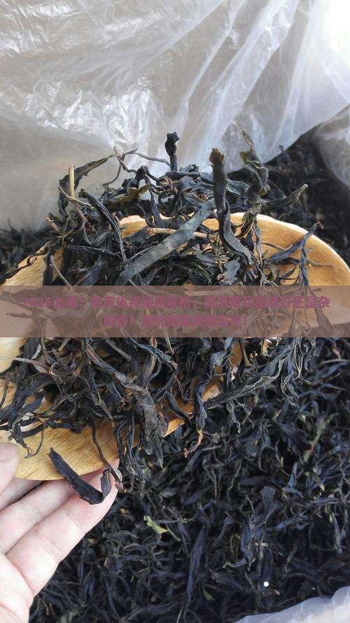 普洱茶是买品牌还是杂牌