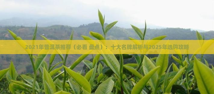 2021年普洱茶推荐