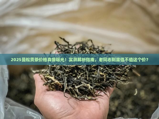 老同志曼松贡茶多少钱一斤