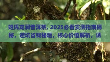 姓氏龙润普洱茶