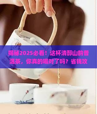 清醇山韵普洱茶