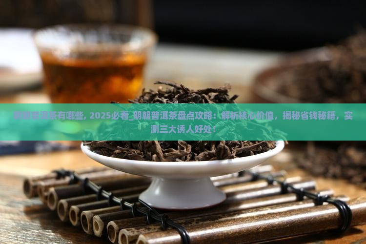 明朝普洱茶有哪些