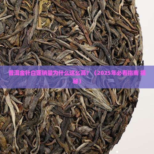 普洱金针白莲销量