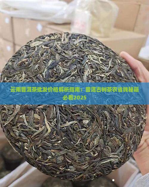 云南普洱茶批发老农