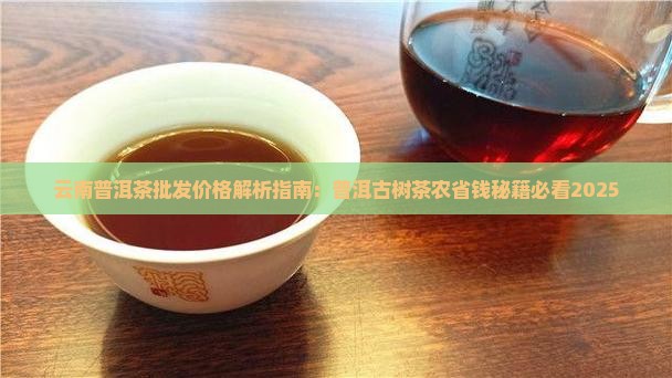 云南普洱茶批发老农