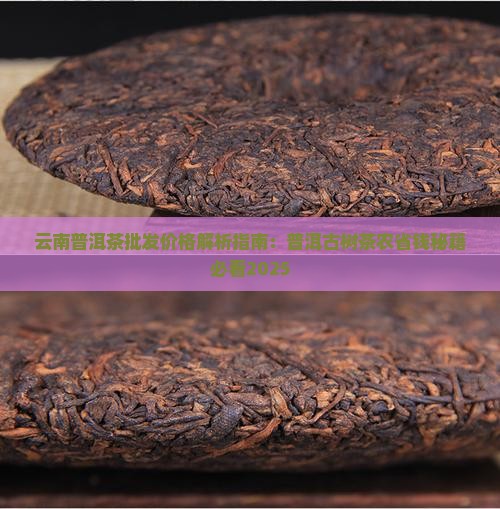 云南普洱茶批发老农