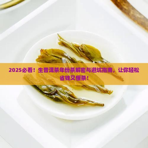 生普洱茶年份茶