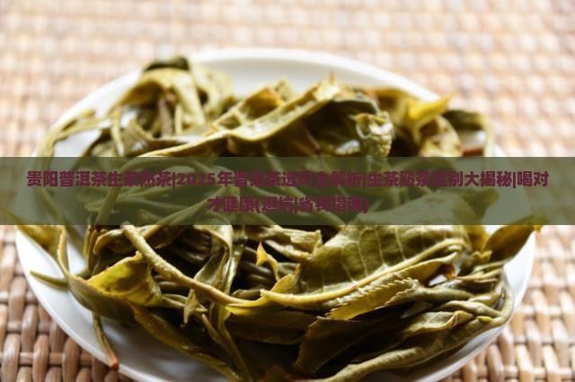 贵阳普洱茶生茶熟茶