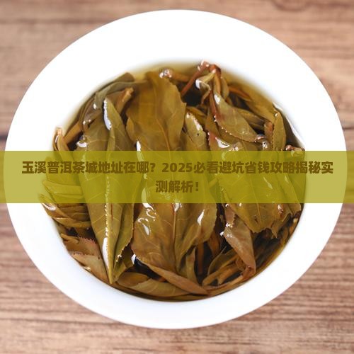 玉溪普洱茶城地址