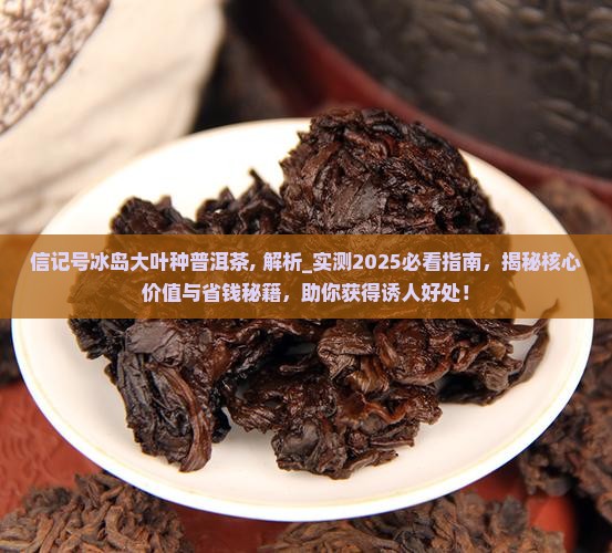 信记号冰岛大叶种普洱茶