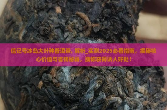 信记号冰岛大叶种普洱茶