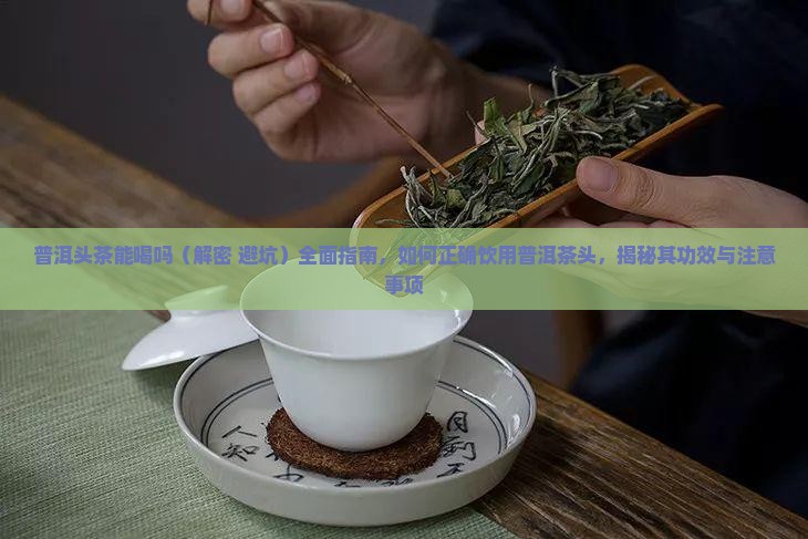 普洱头茶能喝吗