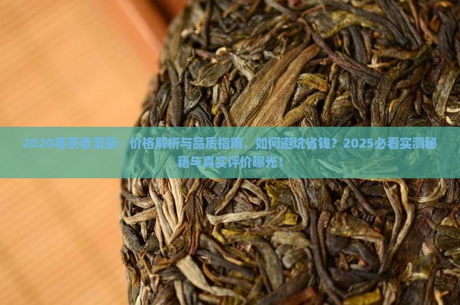 普洱茶2020春茶